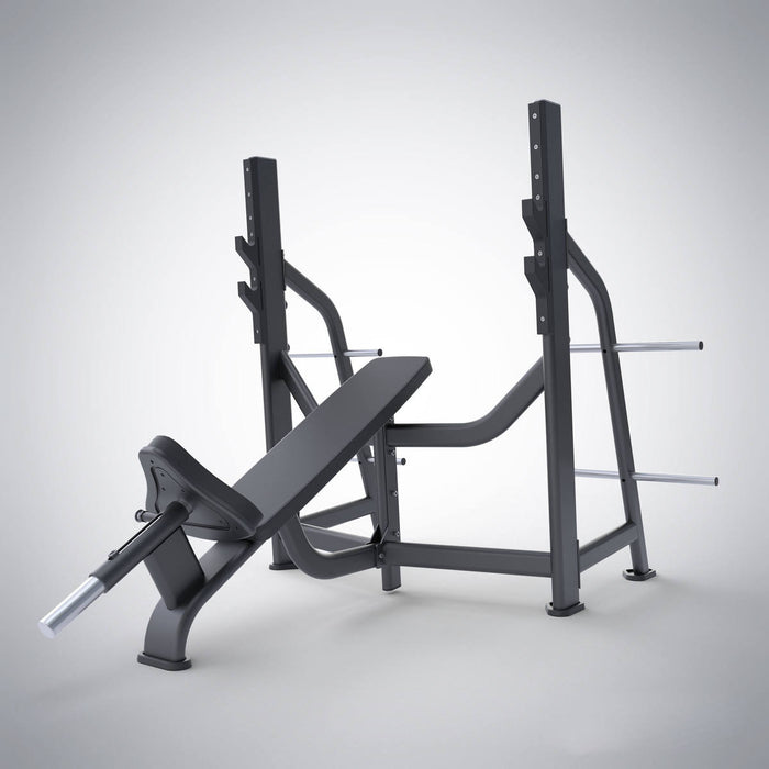 Elvion Fitness CommercialFlex Adjustable Bench and Rack System