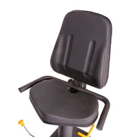 PhysioMax padded seat and backrest