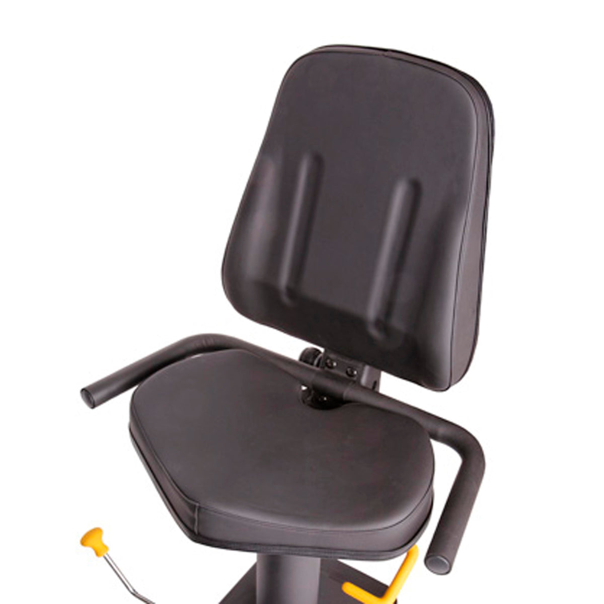 PhysioMax padded seat and backrest