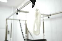 The Core Collab Queen Cadillac Pilates Reformer — manufacturer detail or reference view