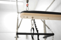 The Core Collab Queen Cadillac Pilates Reformer — manufacturer detail or reference view