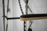 The Core Collab Queen Cadillac Pilates Reformer — manufacturer detail or reference view